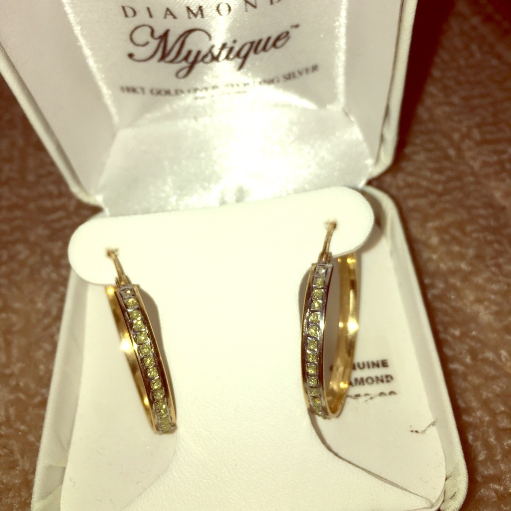 Mystique Diamond 18 kt Gold Hoop Earrings
